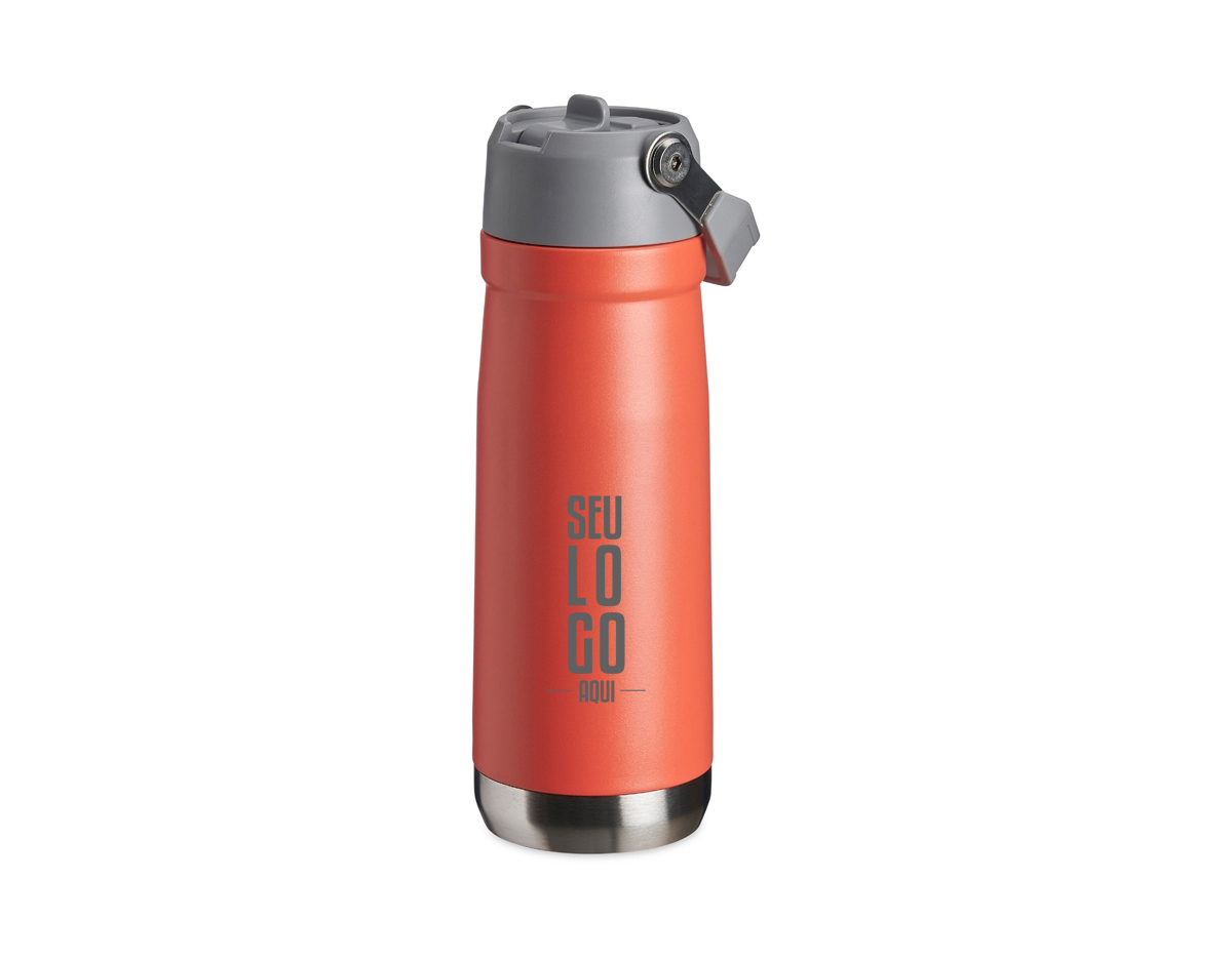 Garrafa térmica de parede dupla em inox, capacidade de 650ml. Tampa com alça de transporte, bico flip e canudo interno.